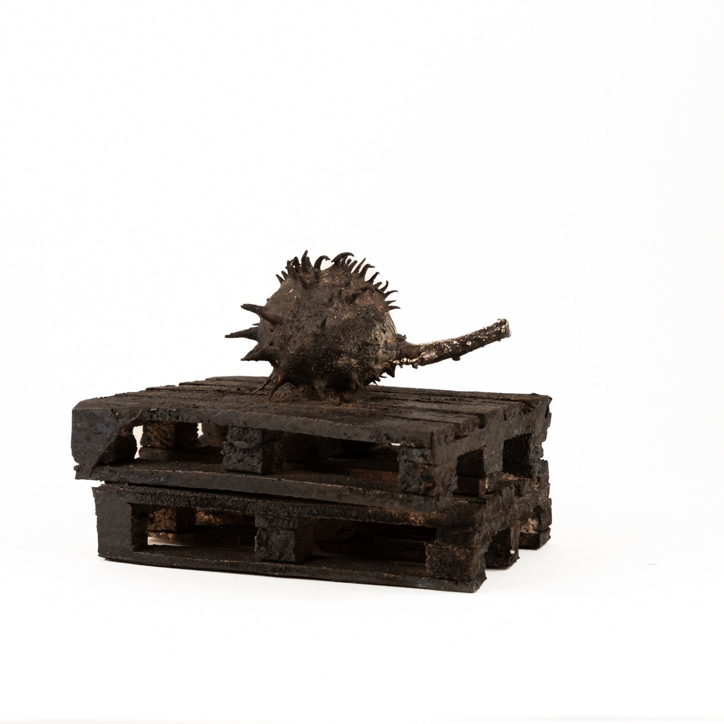 Kastanje på europapaller